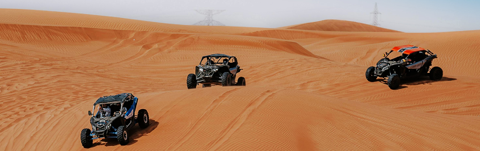 Dune Buggy Adventure with BBQ Diner Experience