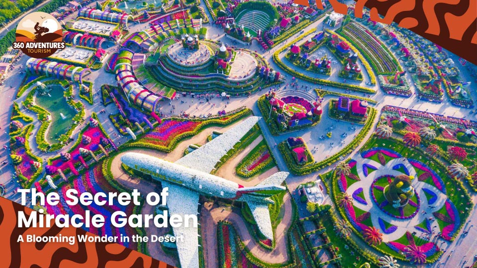 Dubai City Tour: The Secret of Miracle Garden