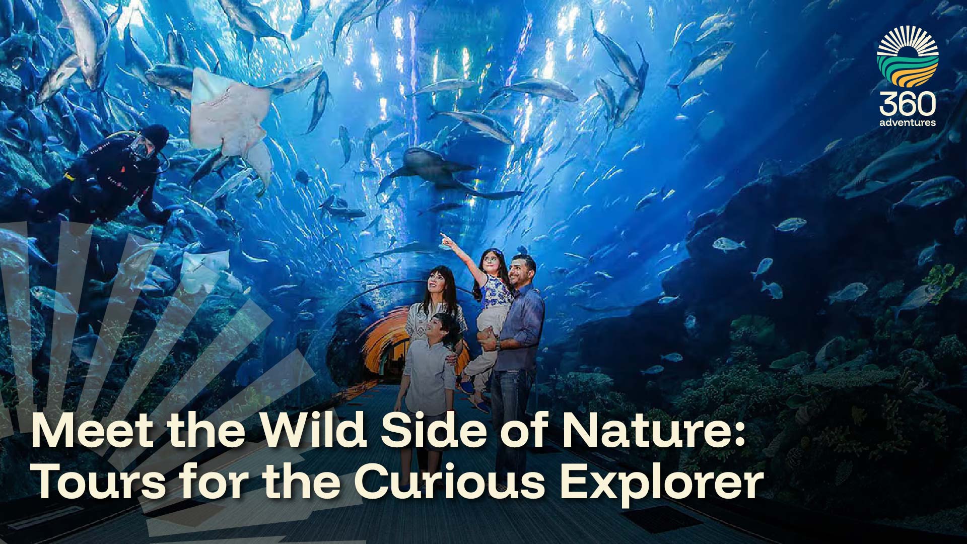 Meet the Wild Side of Nature: Tours for the Curious Explorer