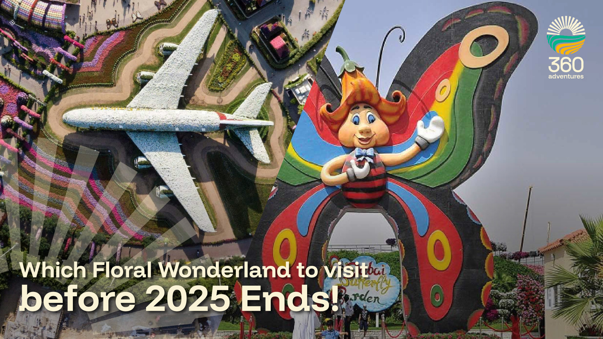 Which Floral Wonderland to Visit before 2025 Ends!