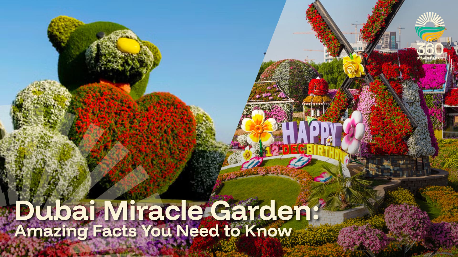 Dubai Miracle Garden: Amazing Facts You Need to Know
