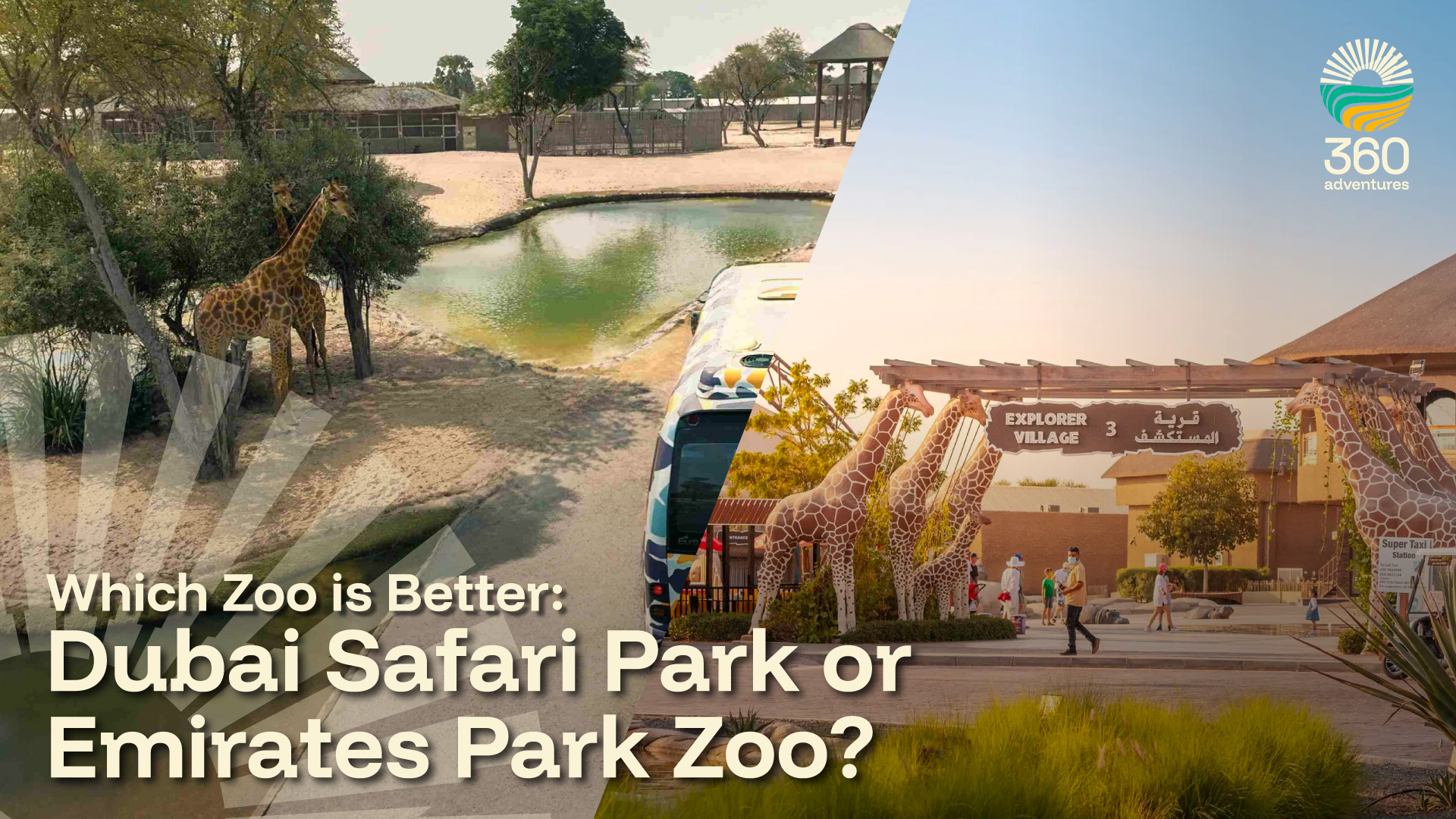 Which Zoo is Better: Dubai Safari Park or Emirates Park Zoo?