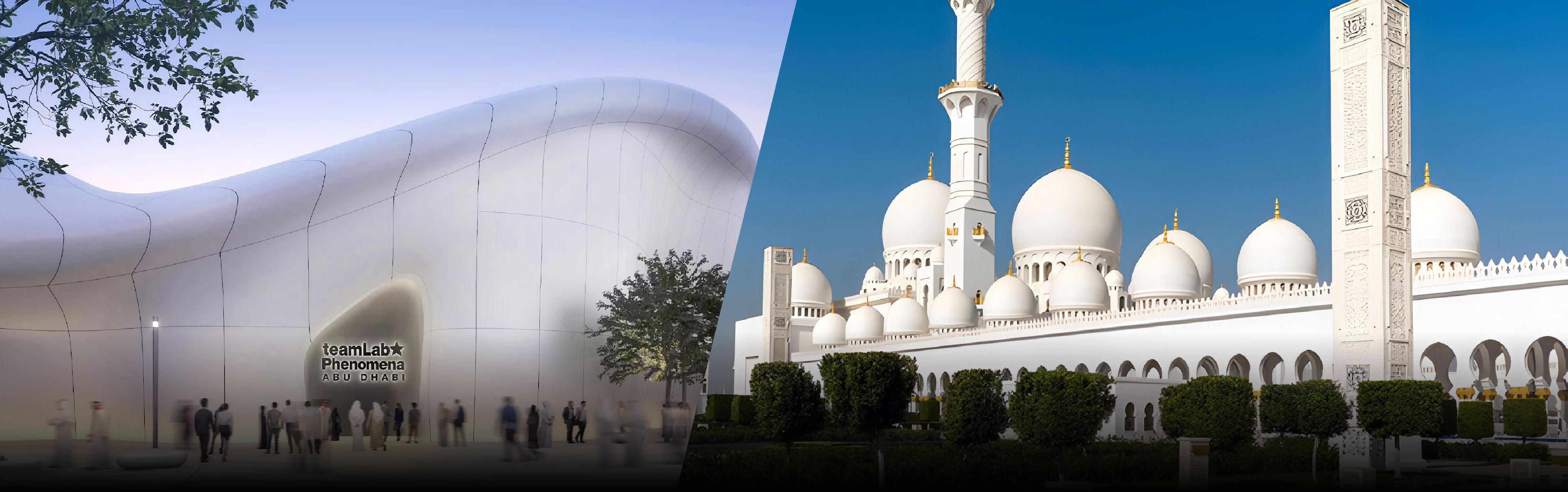 From Dubai: Abu Dhabi City Tour With teamLab Experience